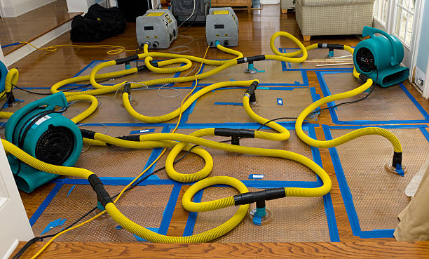 Professional Structural Drying And Dehumidification technician working in Dana Point, CA